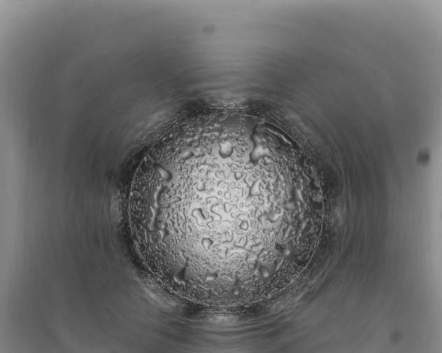 X0000094360658200711091516