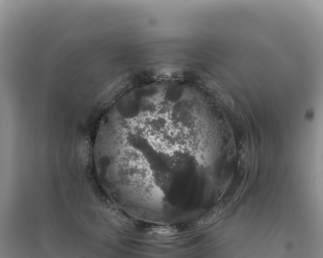 X0000094360659200711091516