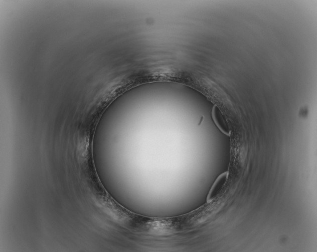 X0000094360660200711091516