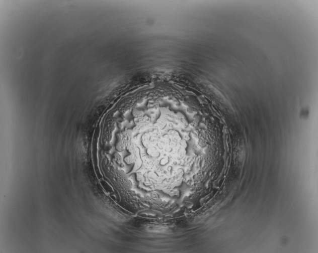 X0000094360661200711091516