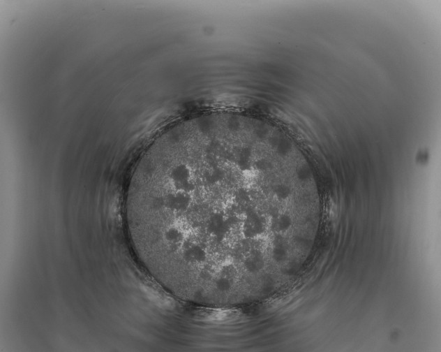 X0000094360663200711091516