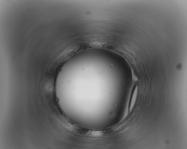 X0000094360665200711091516