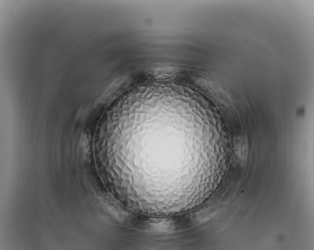 X0000094360667200711091516