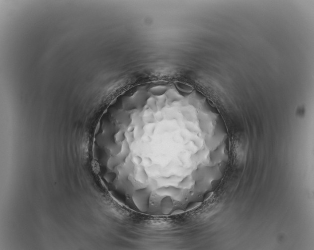 X0000094360668200711091516