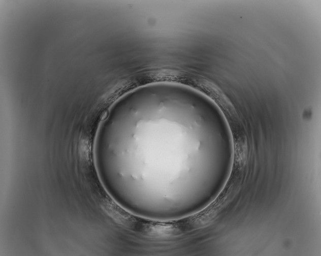 X0000094360669200711091516
