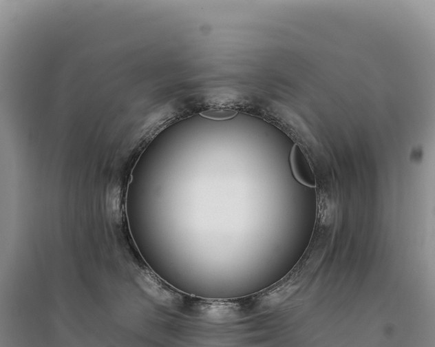 X0000094360670200711091516