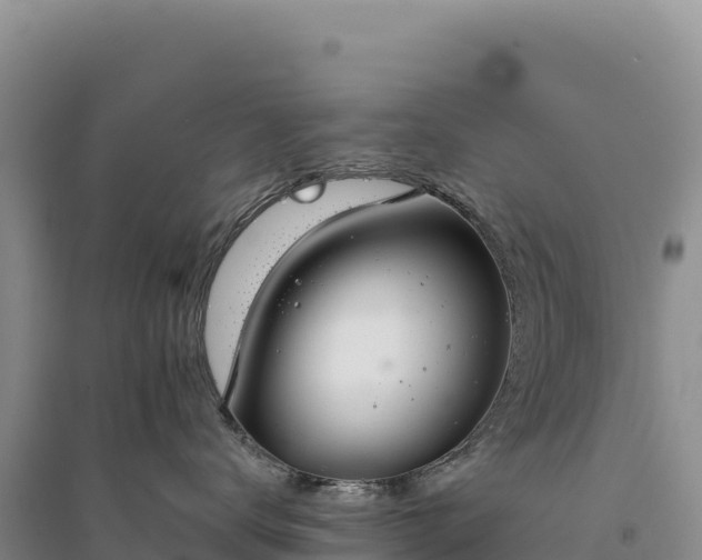 X0000094360672200711091516