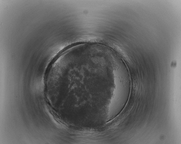 X0000094360674200711091515