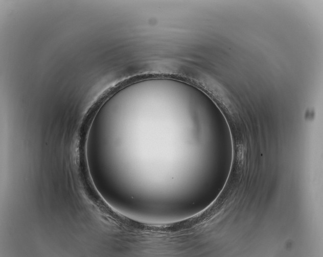 X0000094360676200711091515