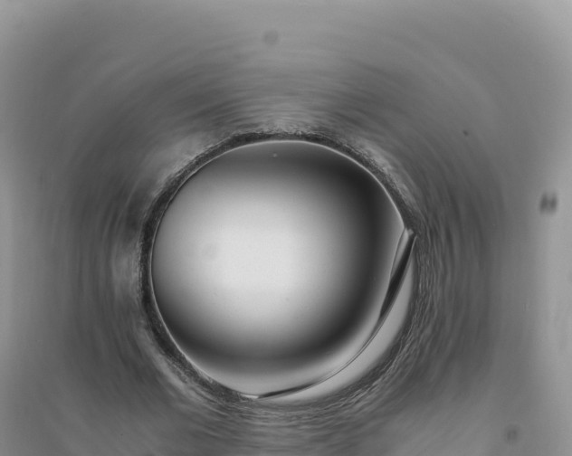 X0000094360677200711091515