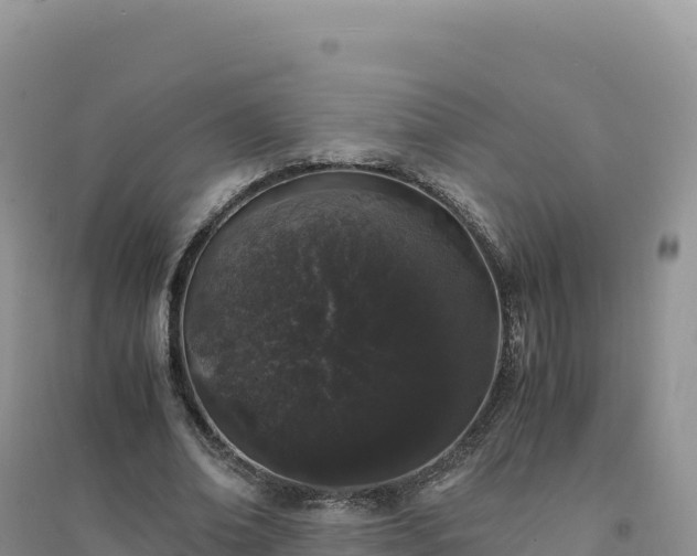 X0000094360678200711091515
