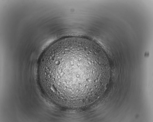 X0000094360679200711091515