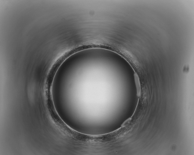 X0000094360680200711091515