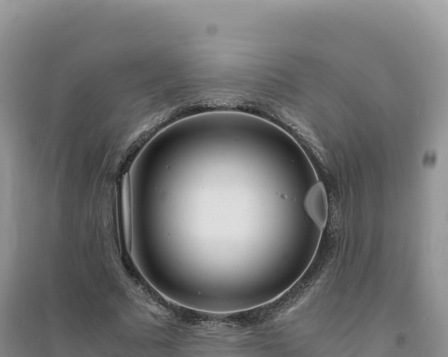 X0000094360681200711091515