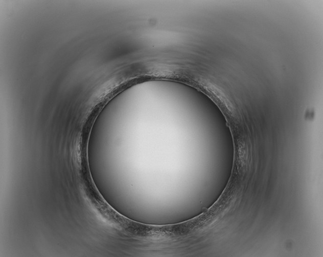 X0000094360682200711091515