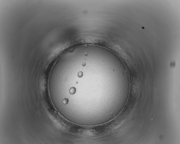 X0000094360683200711091515