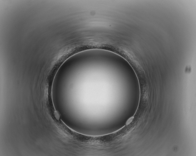 X0000094360685200711091515