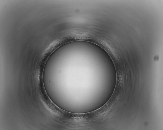 X0000094360686200711091515