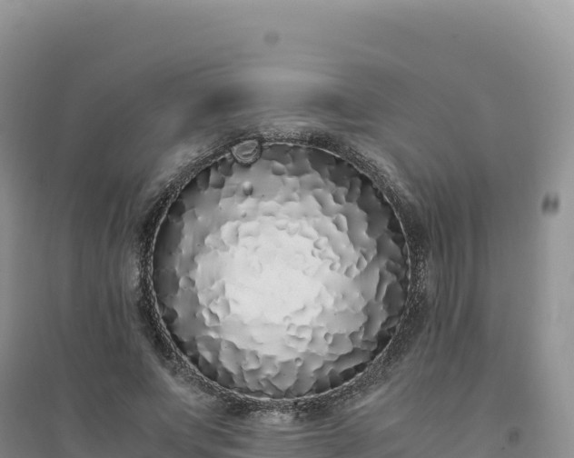 X0000094360687200711091515