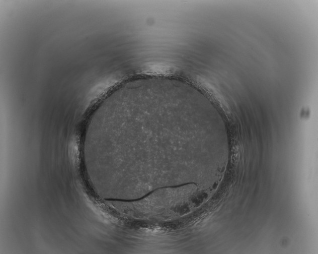 X0000094360688200711091515