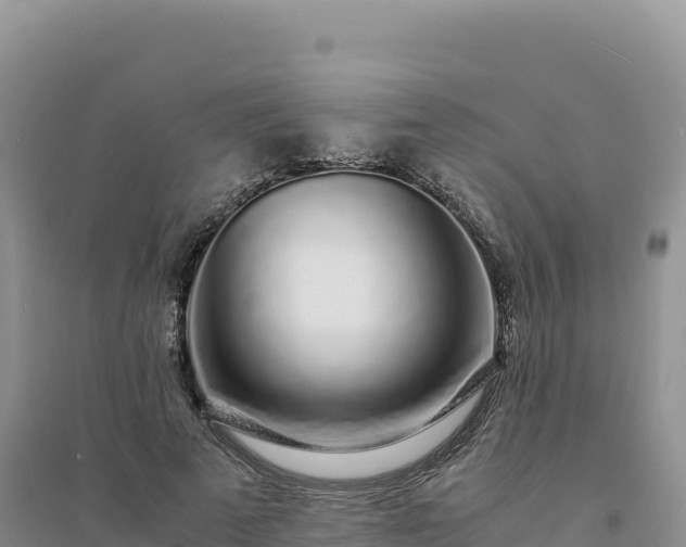 X0000094360689200711091515