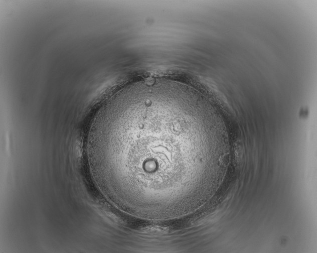 X0000094360691200711091515