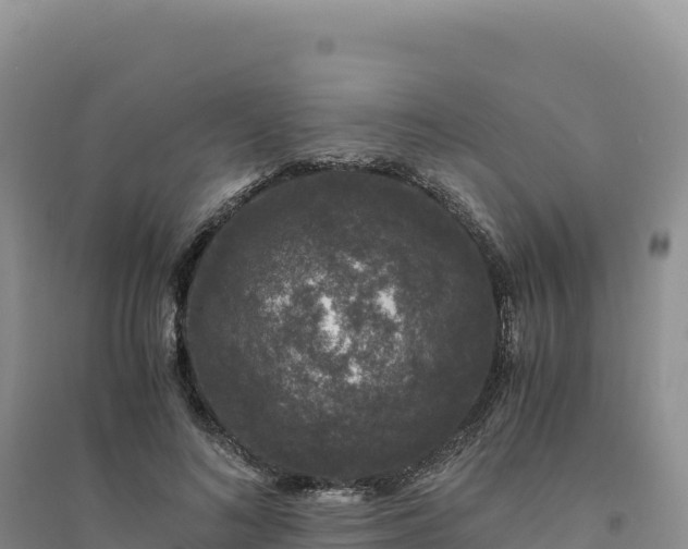 X0000094360692200711091515