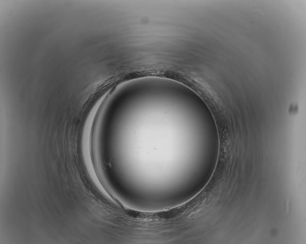 X0000094360693200711091515