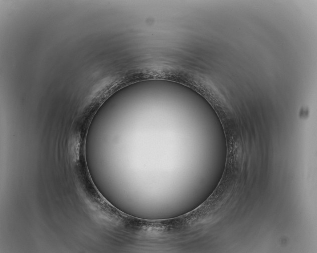 X0000094360694200711091515