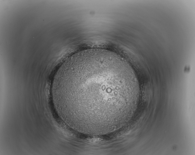 X0000094360695200711091515