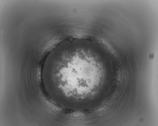 X0000094360696200711091515