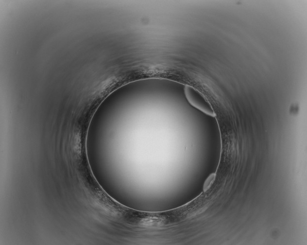 X0000094360700200711091515