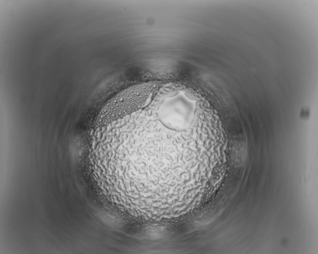 X0000094360701200711091515