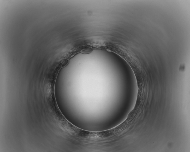 X0000094360704200711091515