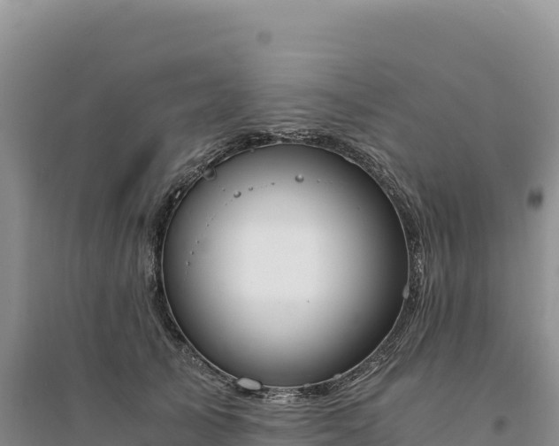 X0000094360705200711091515