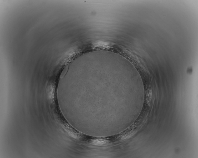 X0000094360708200711091515