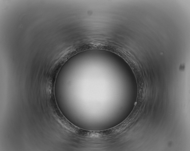 X0000094360710200711091515
