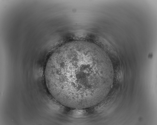 X0000094360711200711091515