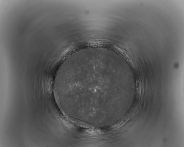 X0000094360712200711091515