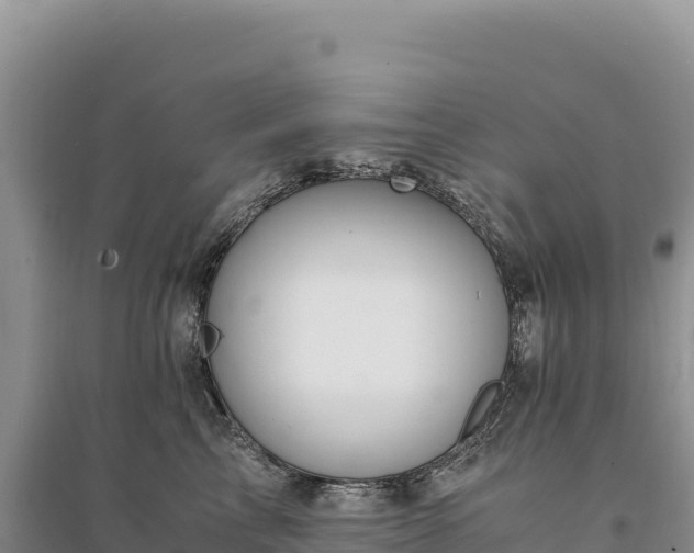 X0000094360713200711091515