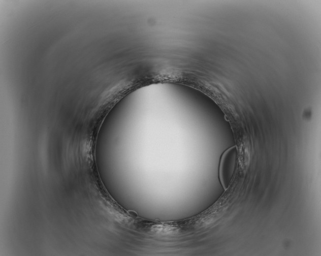 X0000094360714200711091515