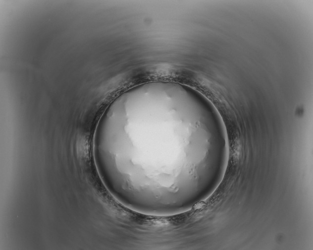 X0000094360715200711091515