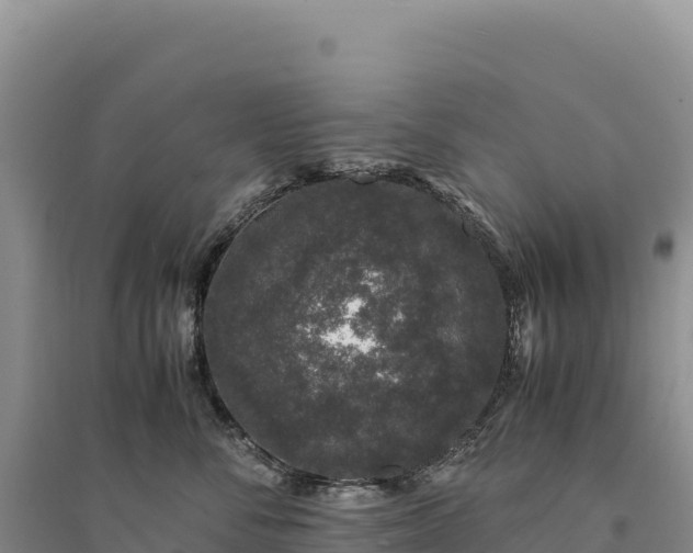 X0000094360716200711091515