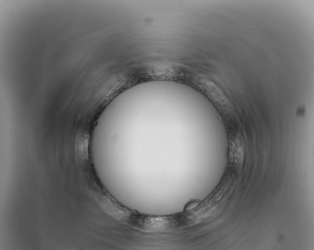 X0000094360717200711091515