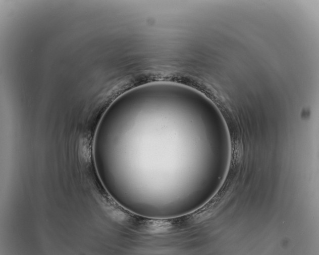 X0000094360719200711091515