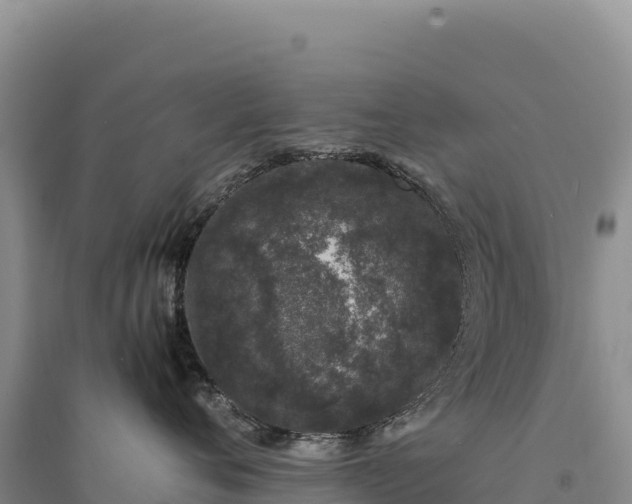 X0000094360720200711091515