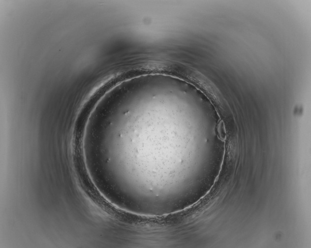 X0000094360722200711091514