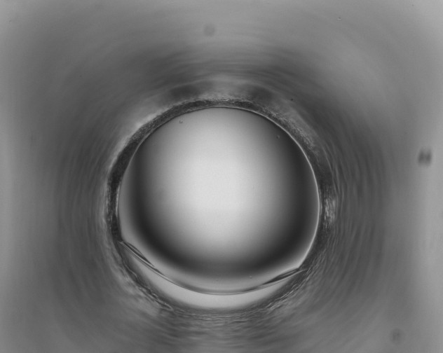 X0000094360724200711091514