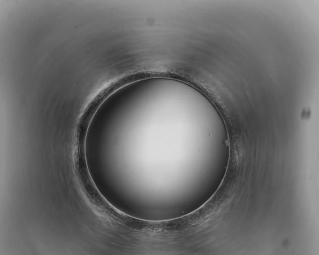 X0000094360728200711091514