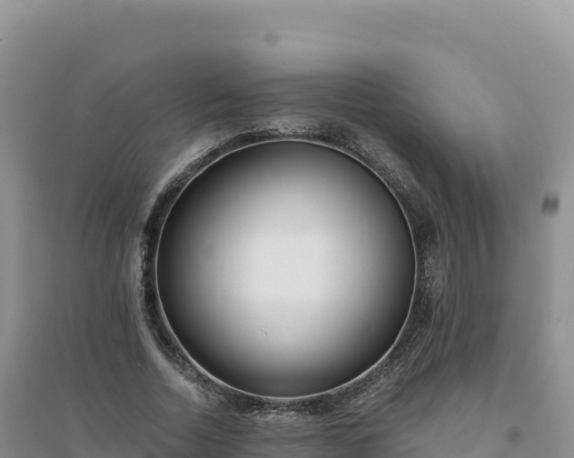 X0000094360730200711091514
